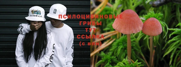 героин Кукмор