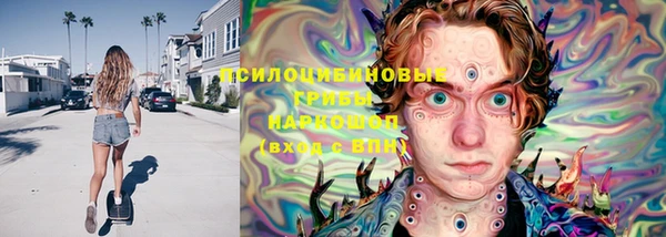 круглые Белокуриха