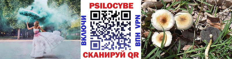 Псилоцибиновые грибы Cubensis  продажа наркотиков  Всеволожск 