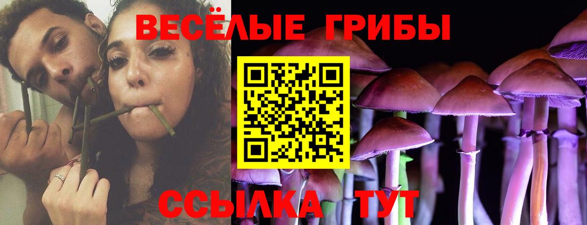Галлюциногенные грибы ЛСД  Вход с VPN  Всеволожск  Галлюциногенные грибы мухоморы 